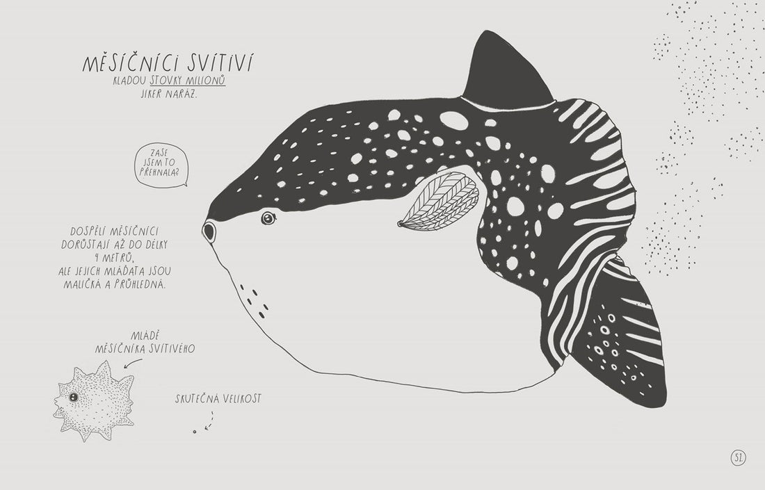 Ilustrowany atlas zabawnych faktów o młodych - Maja Säfströmová