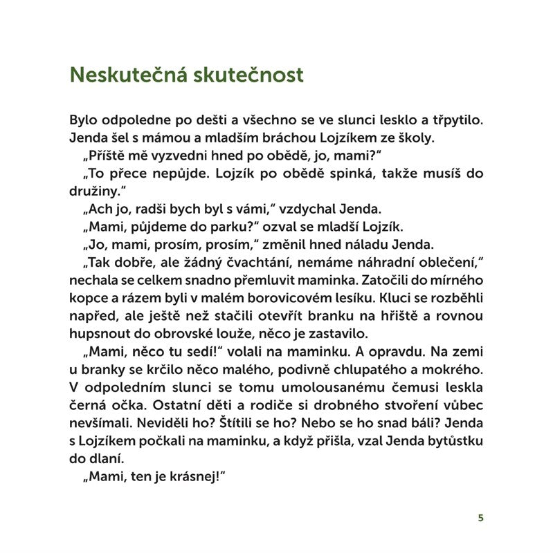 Neskutečná skutečnost - Lucie Ferenzová
