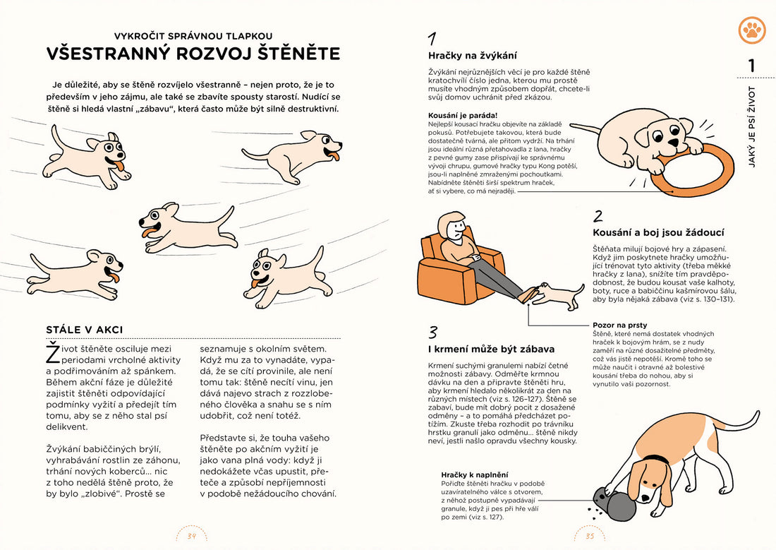 Czego pragną psy