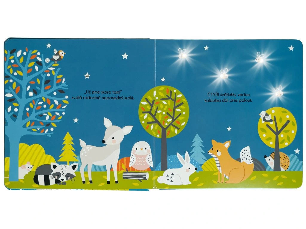 Posviť si - Velká cesta malého kolouška