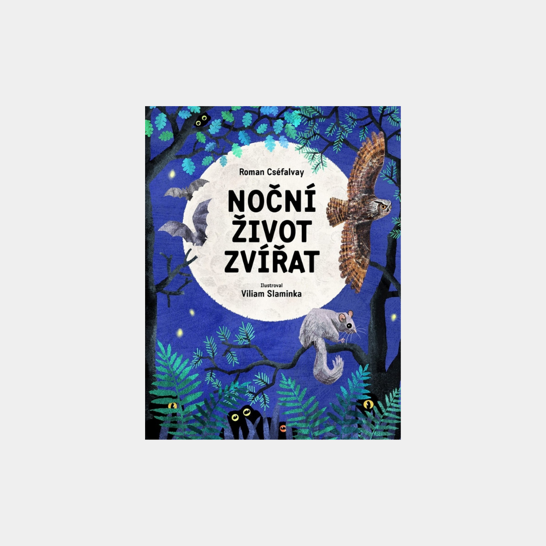 Nocne życie zwierząt