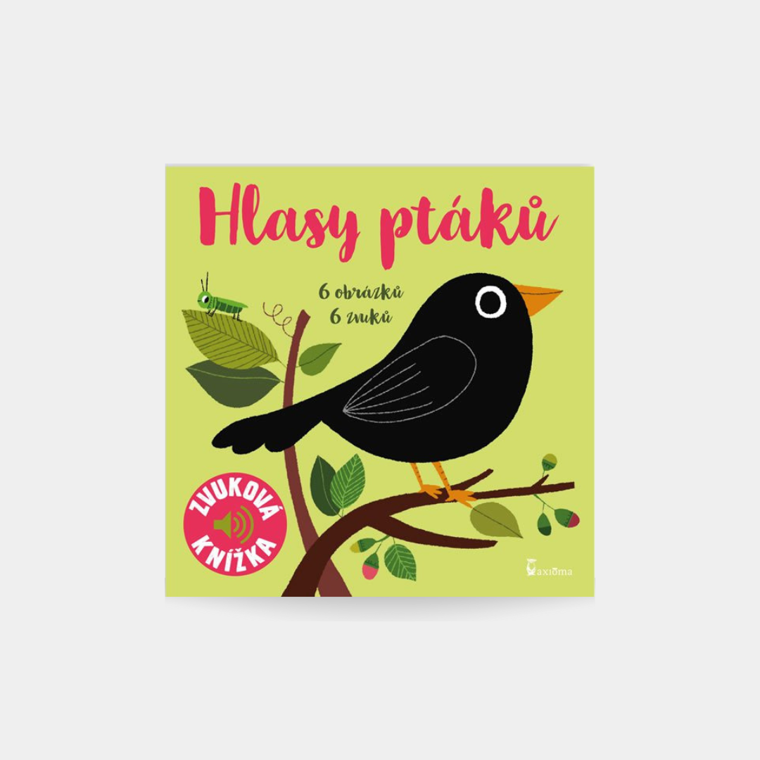Głosy ptaków – książka audio