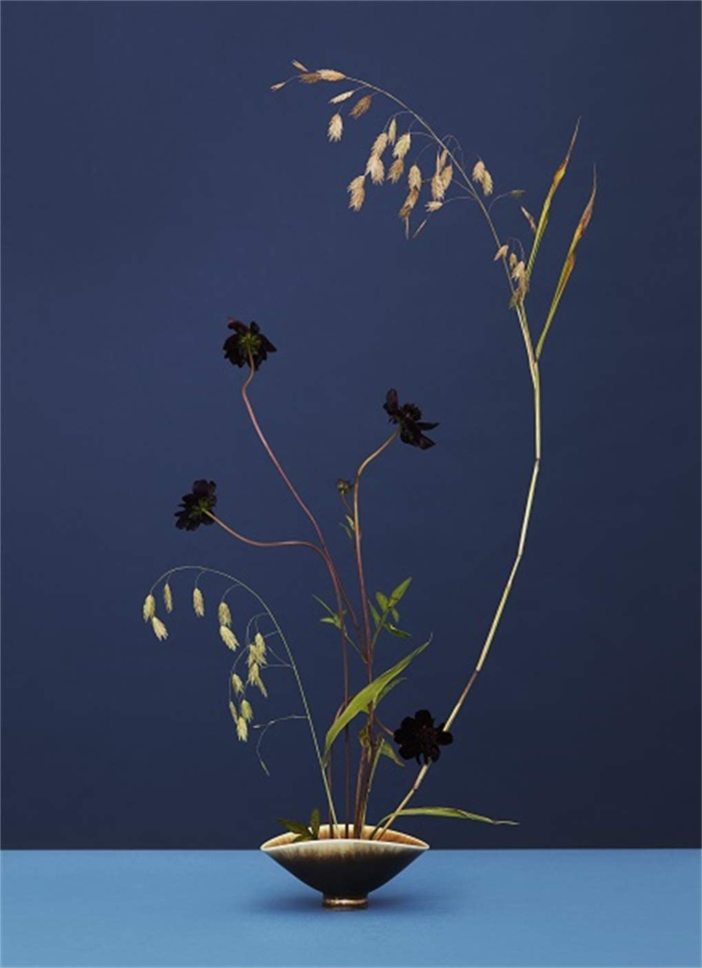 Modern Ikebana: A New Wave in Floral Design