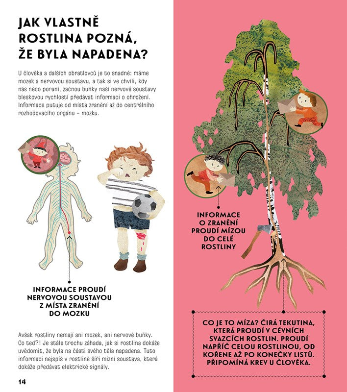 Rozumieć mowę roślin