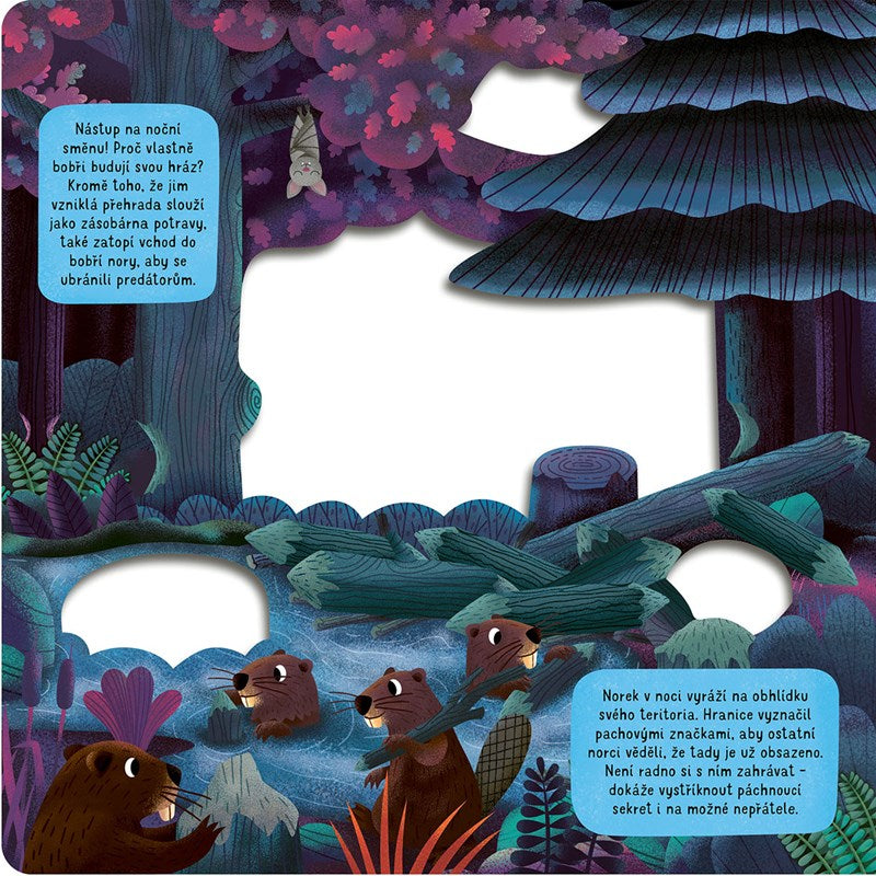 Co się dzieje w nocy