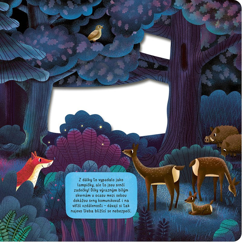 Co się dzieje w nocy