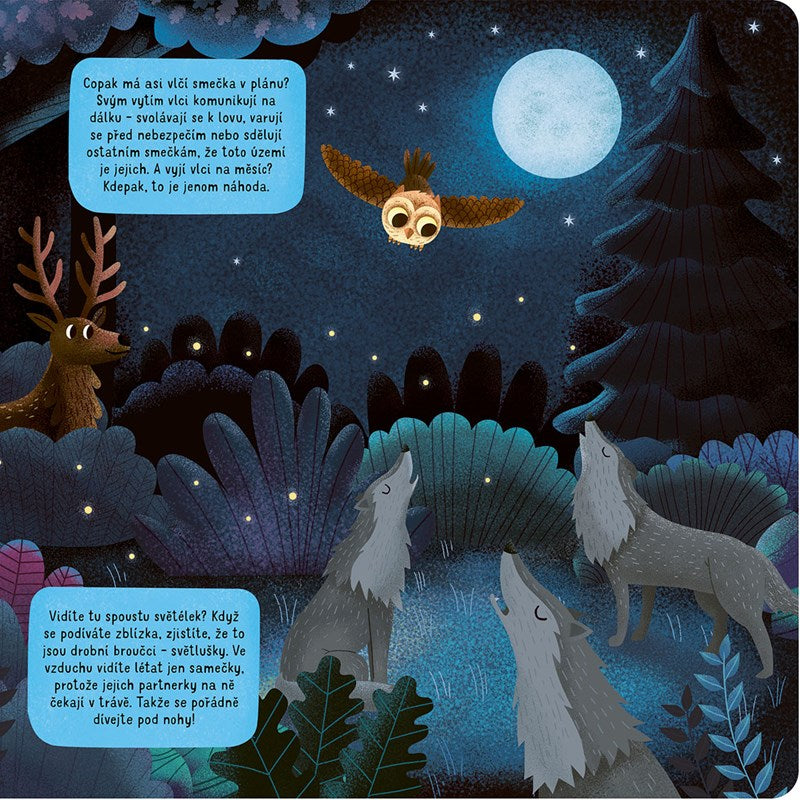 Co się dzieje w nocy