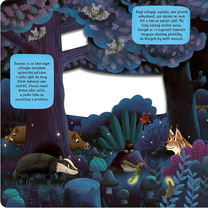 Co się dzieje w nocy