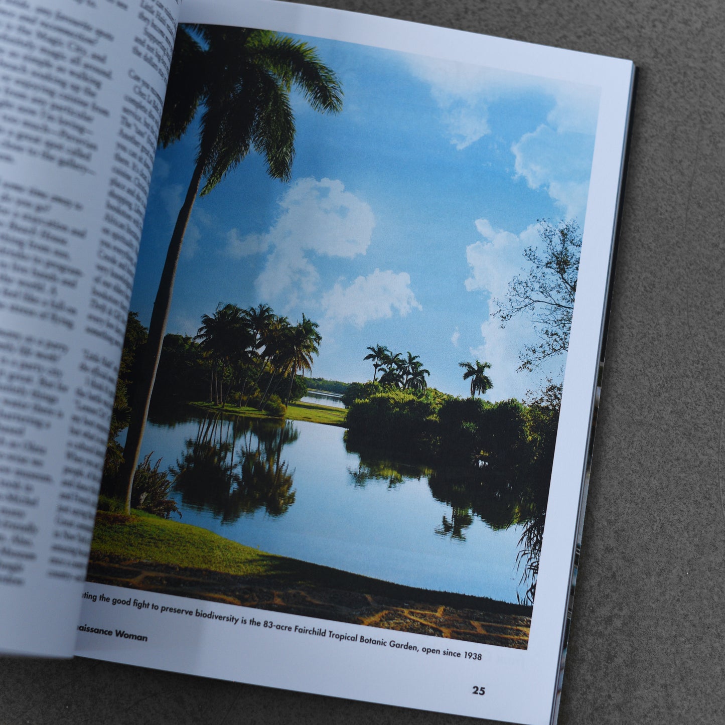 Lost In 17 - Miami