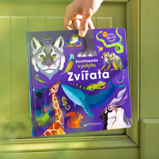 Zvířata v hlavní roli 🦈