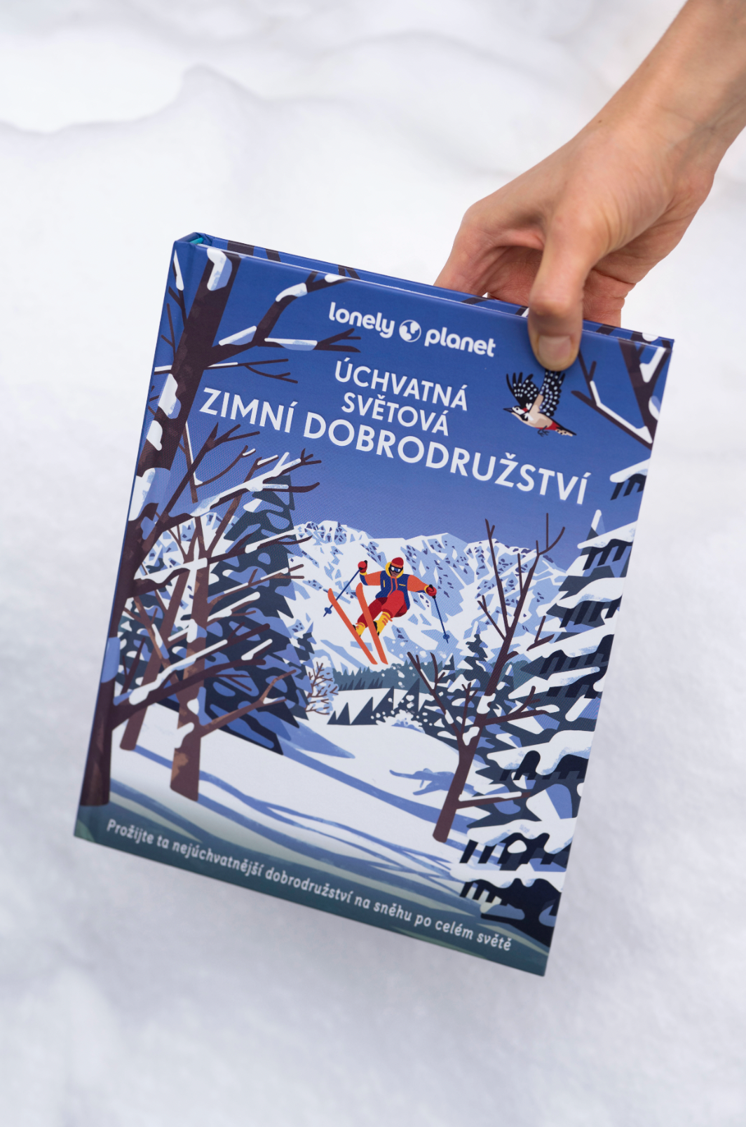 Travel & Adventure Edit