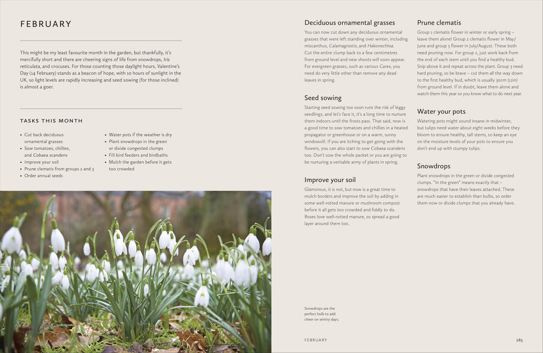 How to Design a Garden