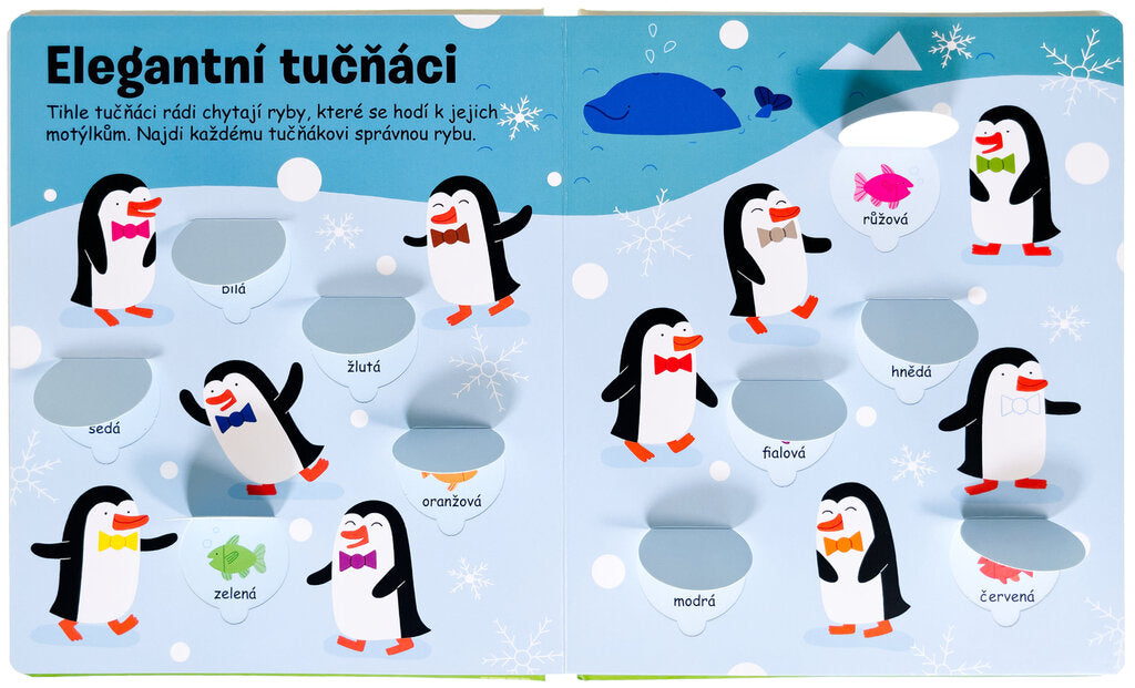 Spójrz pod okno - Kolory