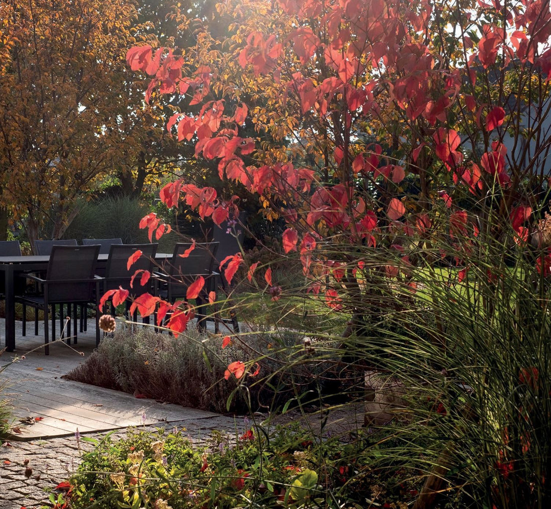 Proč milujeme zahrady - Ferdinand Leffler