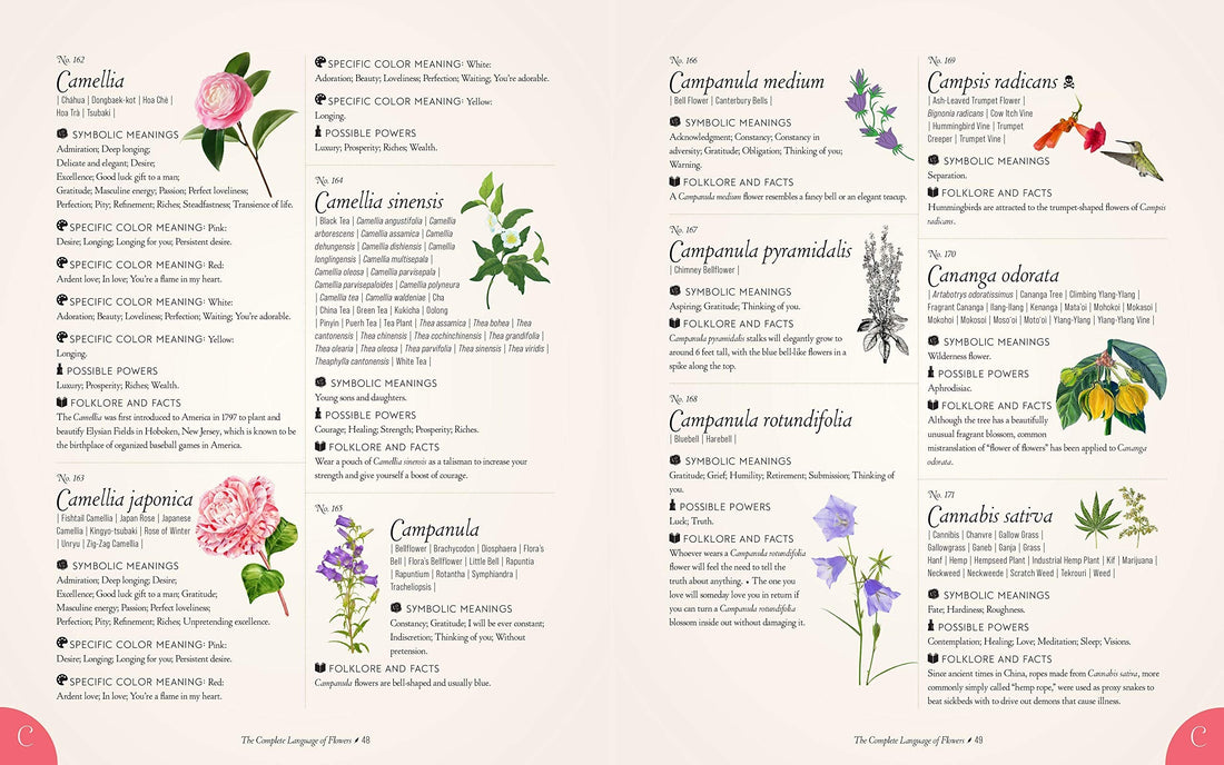 Kompletny język kwiatów, ostateczna i ilustrowana historia