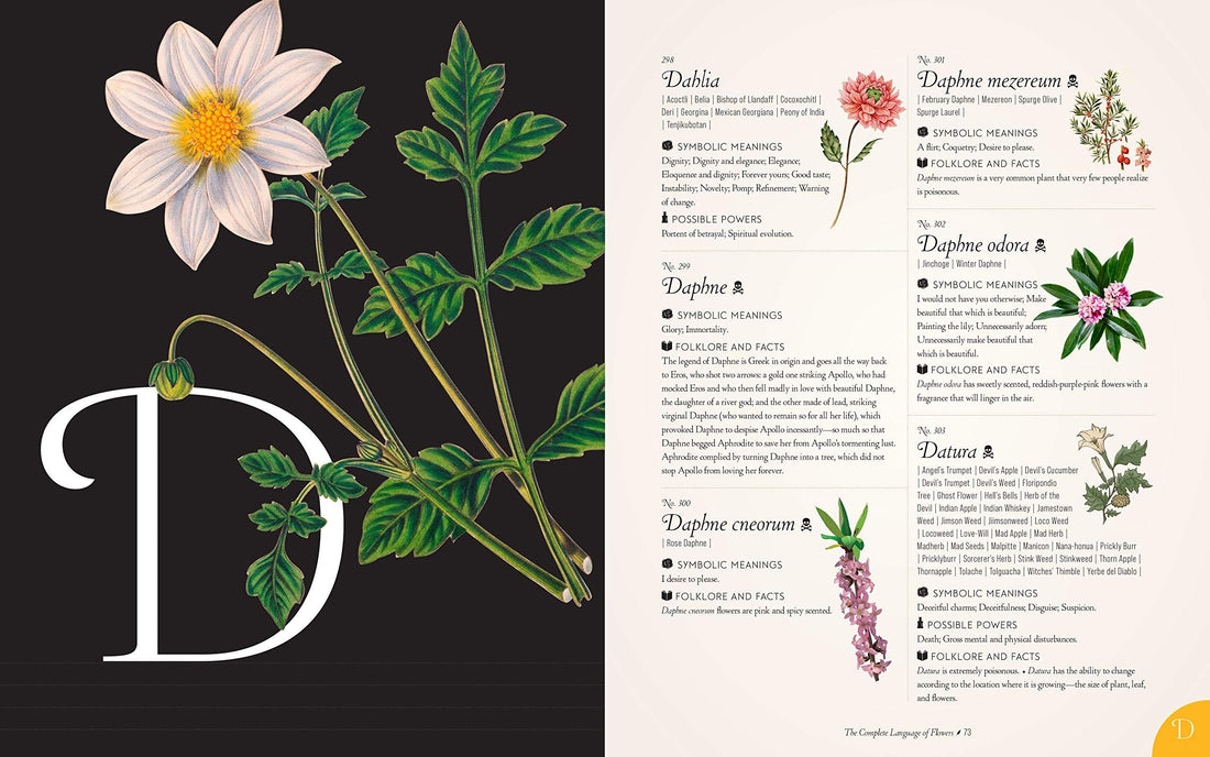 Kompletny język kwiatów, ostateczna i ilustrowana historia