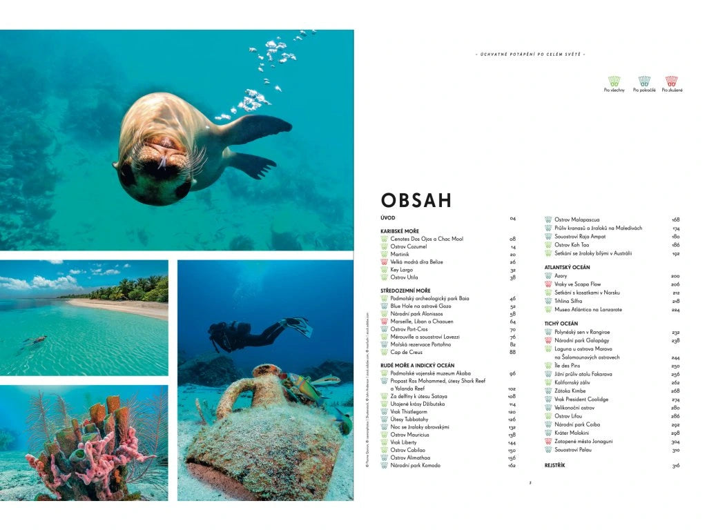 Úchvatné potápění po celém světě