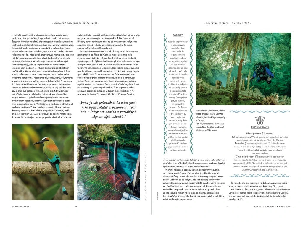 Úchvatné potápění po celém světě