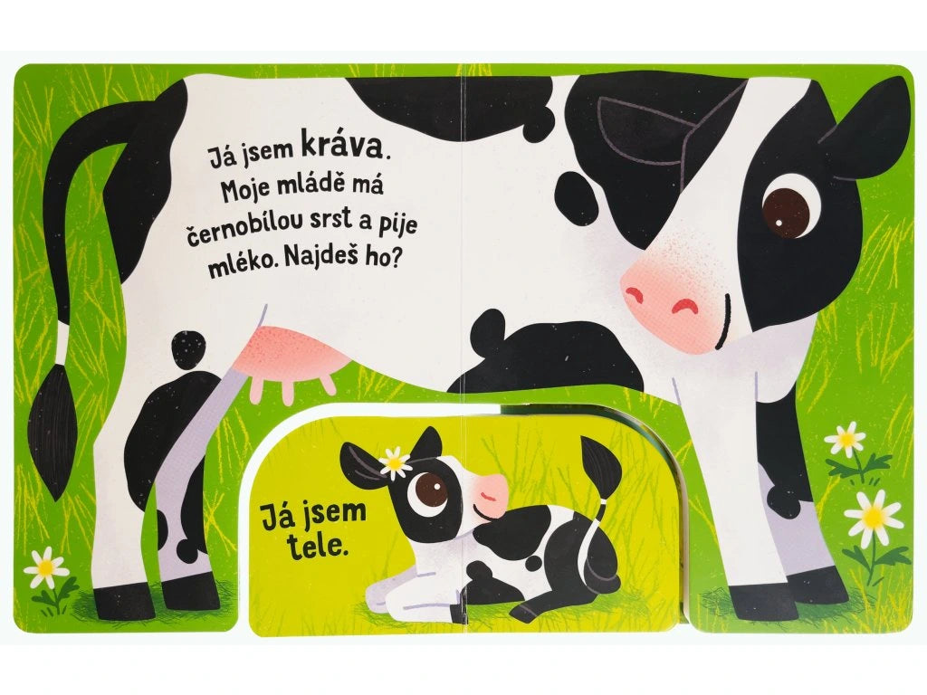 Najdi mládě: Farma