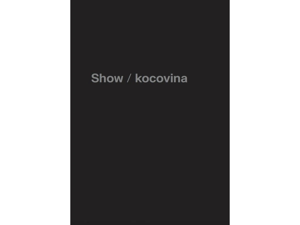 Antiprsa, zábradlí, trdelníky a to všechno okolo - Ondřej Pokorný