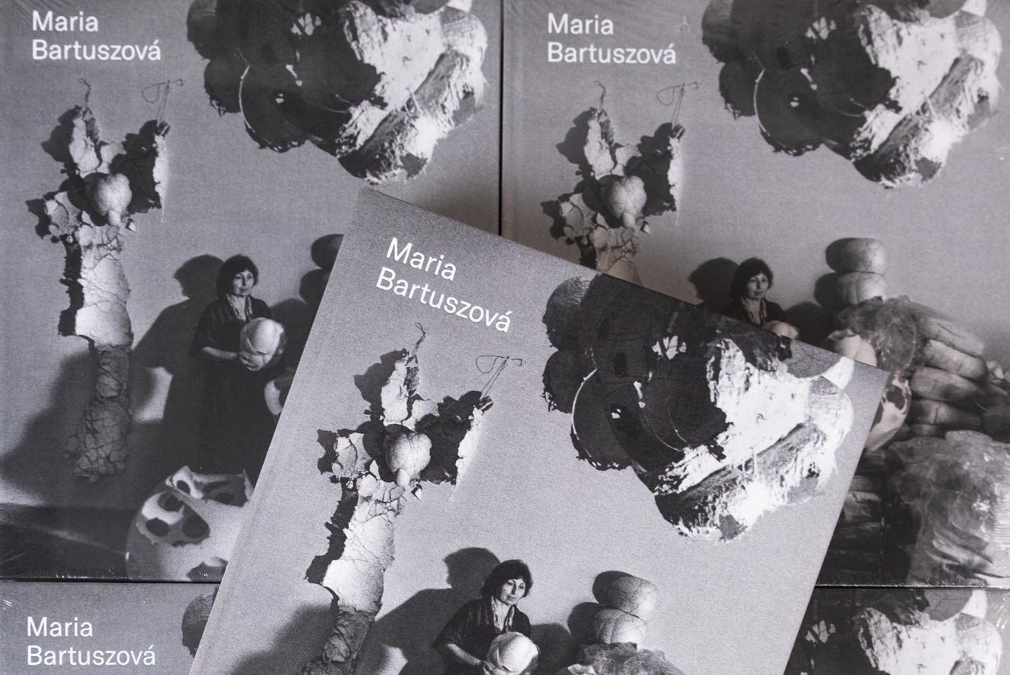 Maria Bartuszová - Katalog Rainsonné