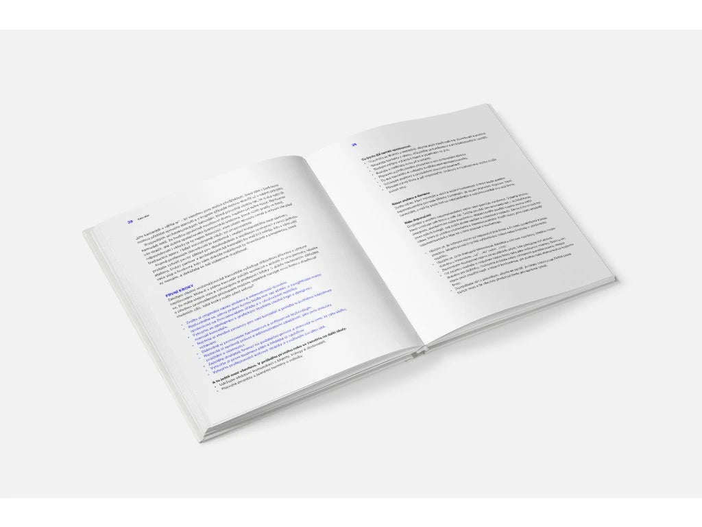 Architekt v praxi: Jak vést úspěšný architektonický ateliér