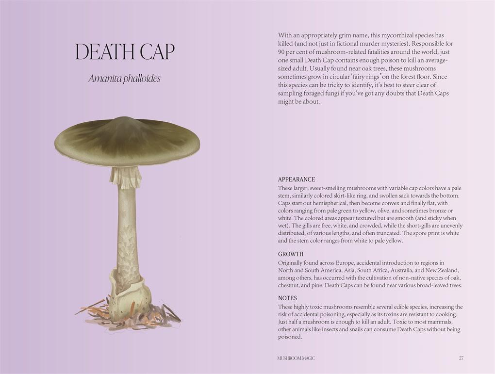 Mushroom Magic: An illustrated introduction to fascinating fungi