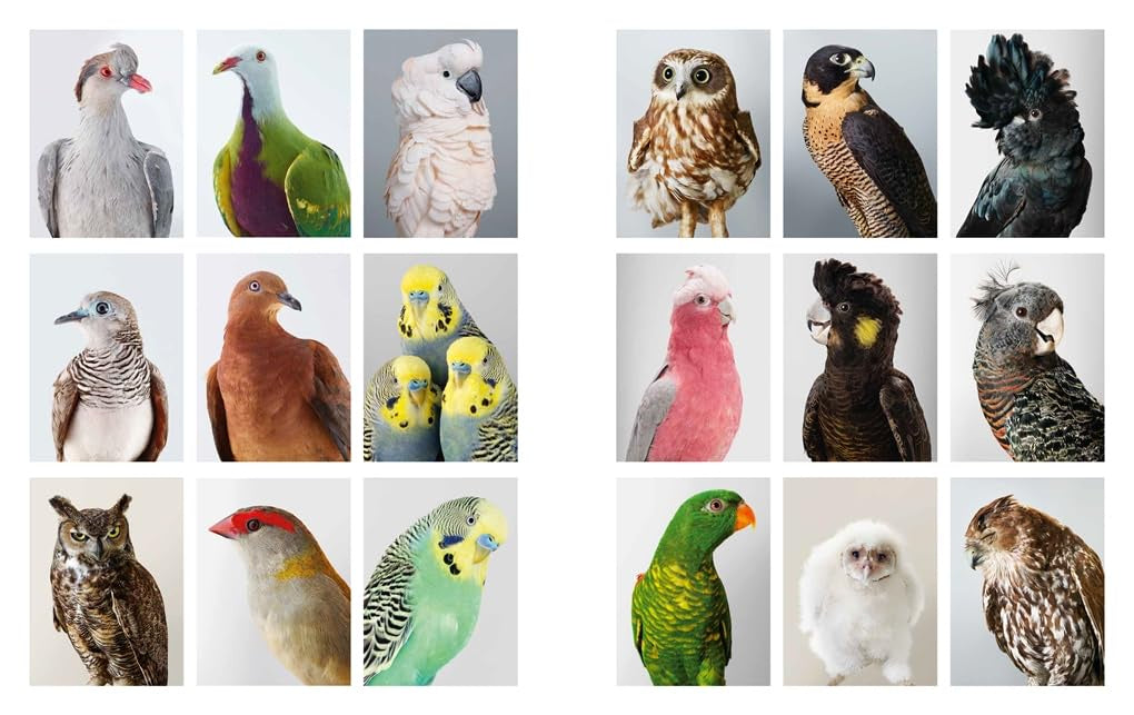 Exposure, Contemporary Photographs in Australia and NZ