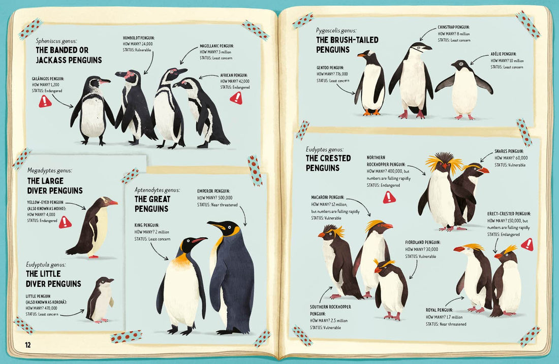 Do Penguins Like the Cold?