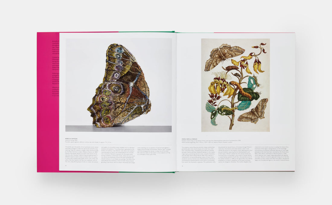 Butterfly: Exploring the World of Lepidoptera