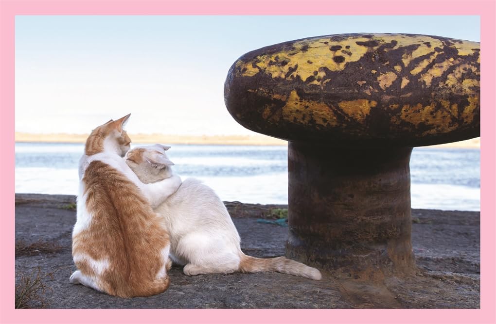 Neko - Cats of Japan