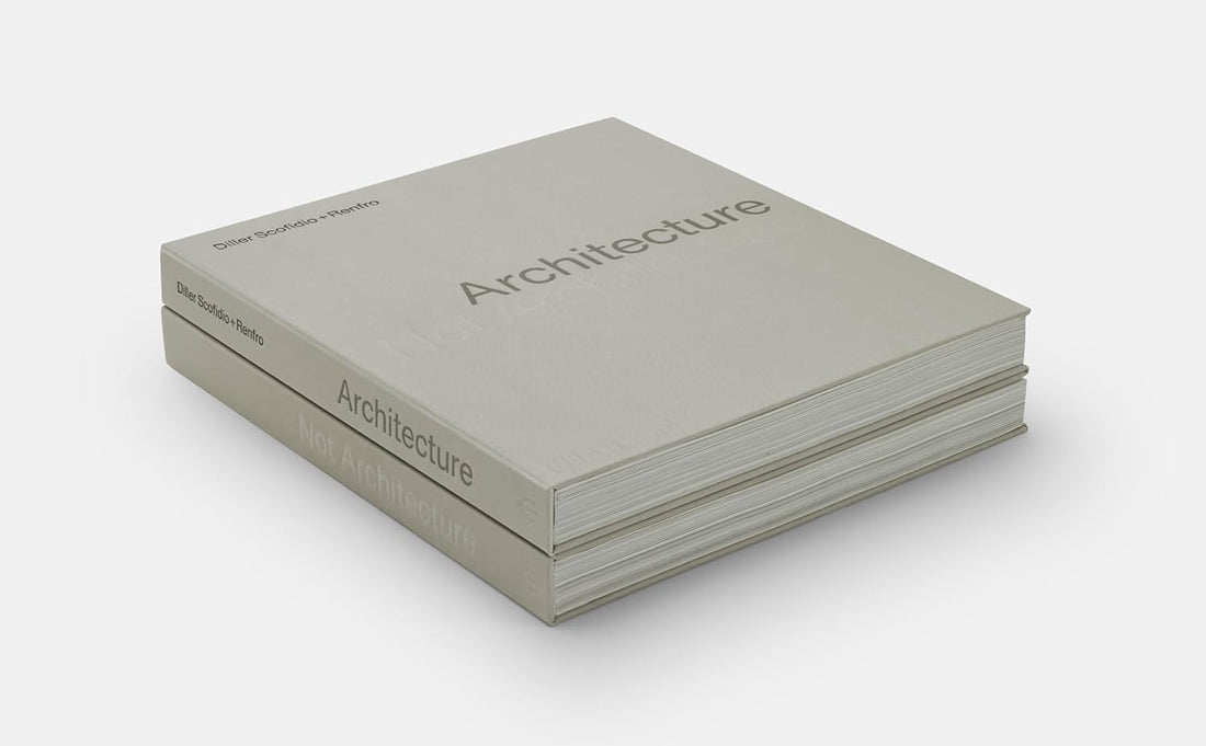 Architecture, Not Architecture: Diller Scofidio + Renfro