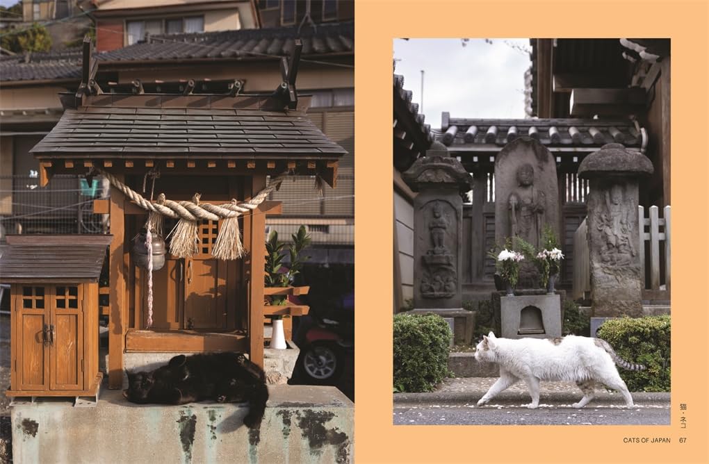 Neko - Cats of Japan