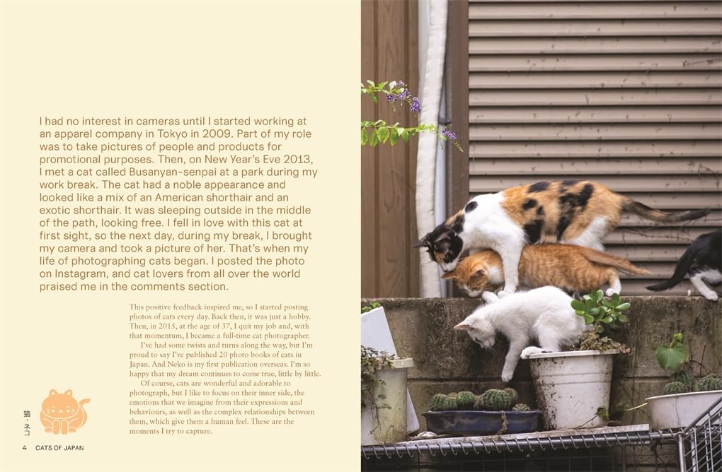Neko - Cats of Japan