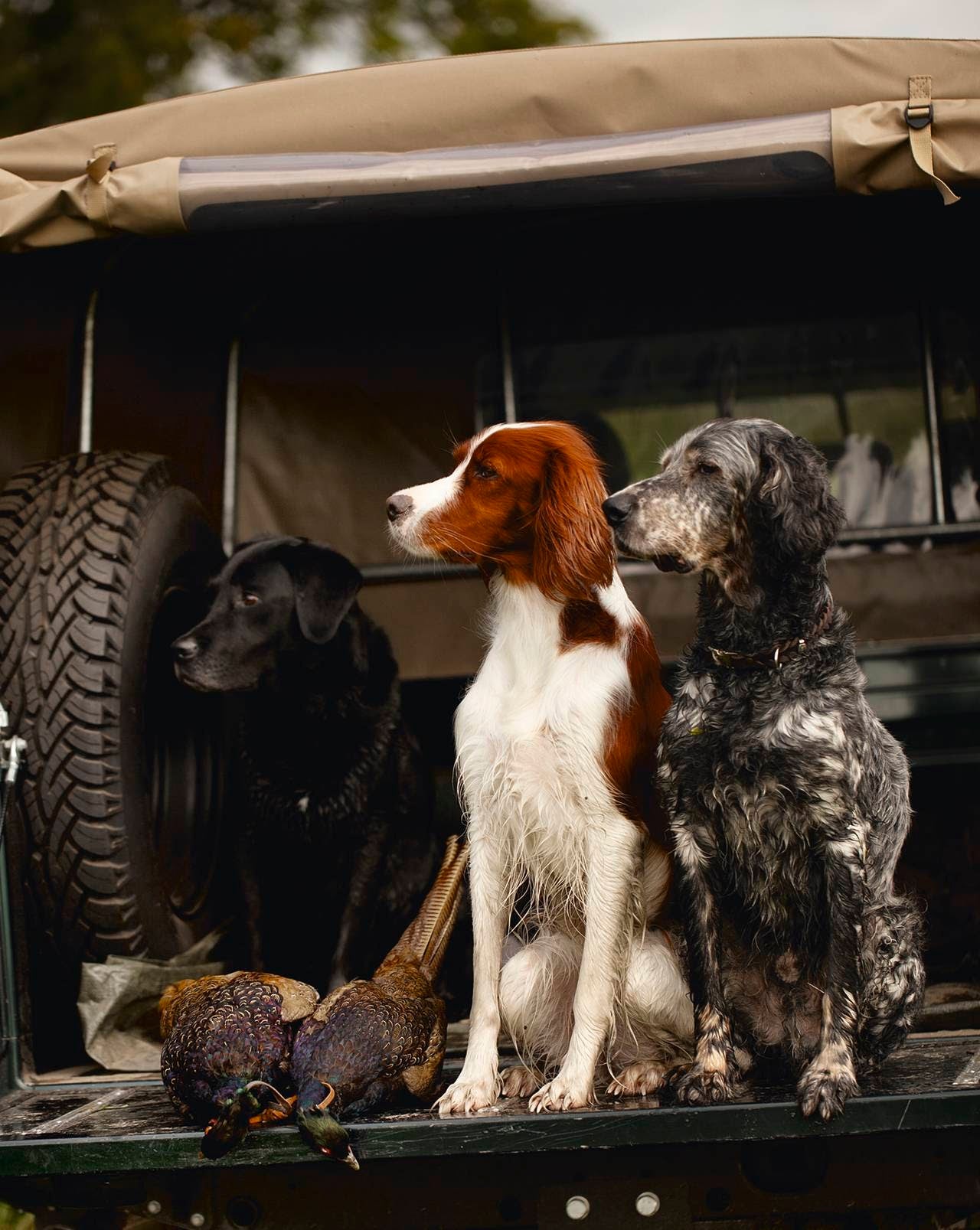 The Hunting Book: Oliver Dorn