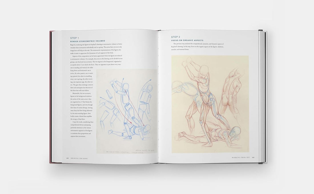 Drawing the Body: Reading the Human Form in Art