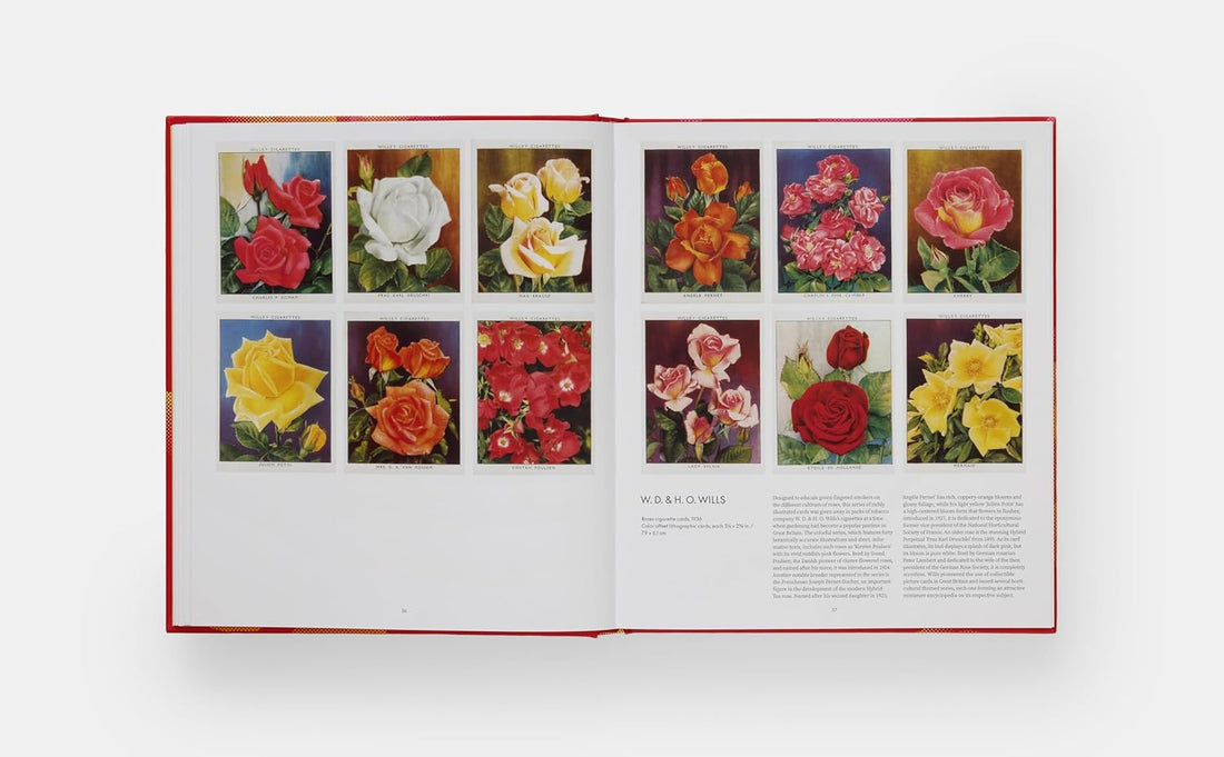 Rose Book