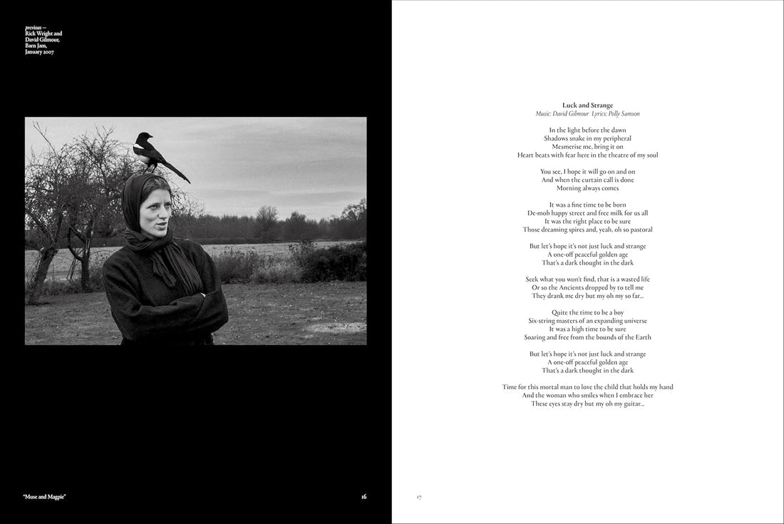 David Gilmour - Luck and Strange - Studio/Live