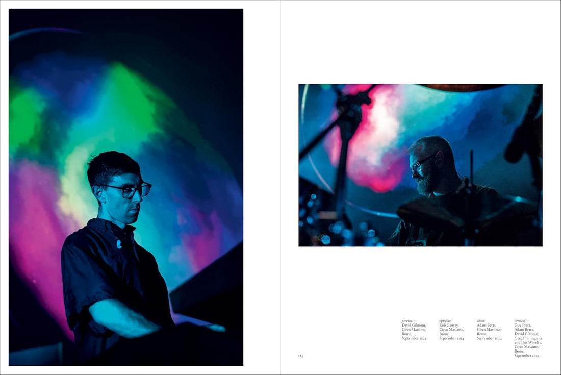 David Gilmour - Luck and Strange - Studio/Live