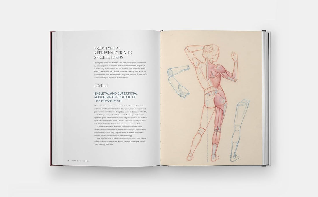 Drawing the Body: Reading the Human Form in Art