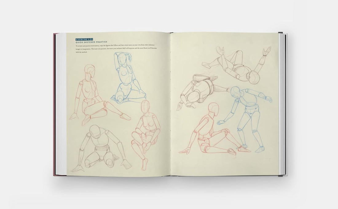 Drawing the Body: Reading the Human Form in Art