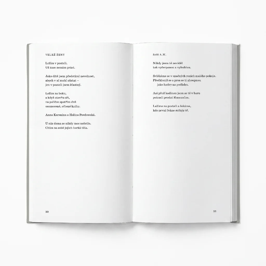 Mami - Jan Musil