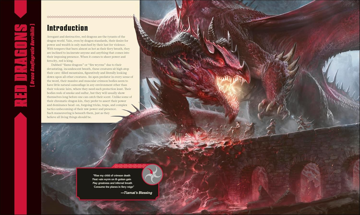 Dungeons & Dragons The Book of Dragons