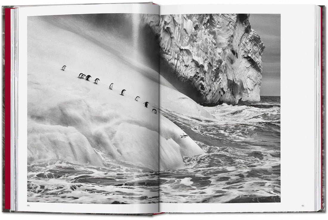 Sebastião Salgado. Genesis. 45th Ed.