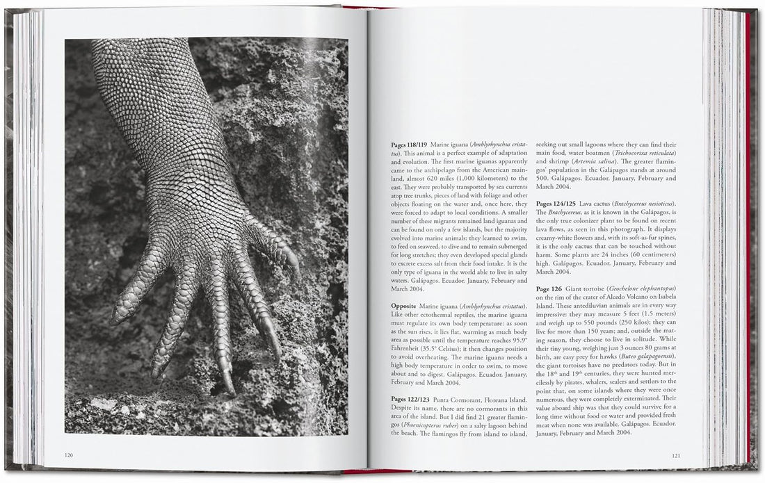 Sebastião Salgado. Genesis. 45th Ed.