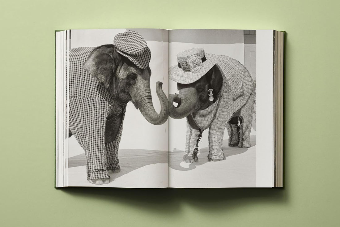 Bruce Weber. My Education