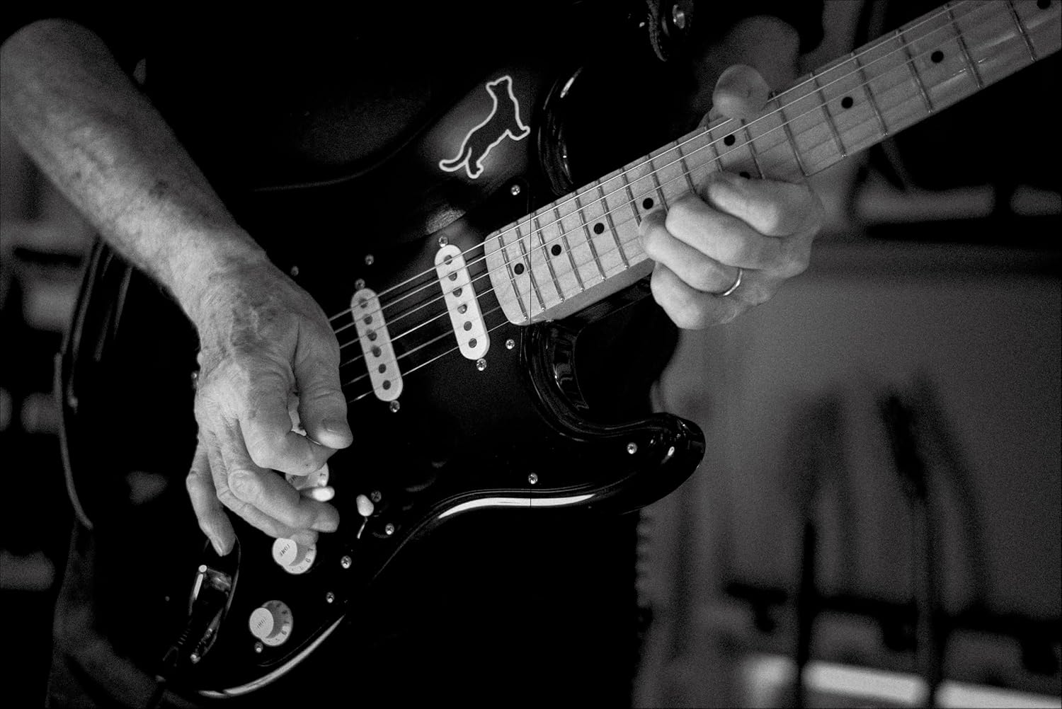 David Gilmour - Luck and Strange - Studio/Live