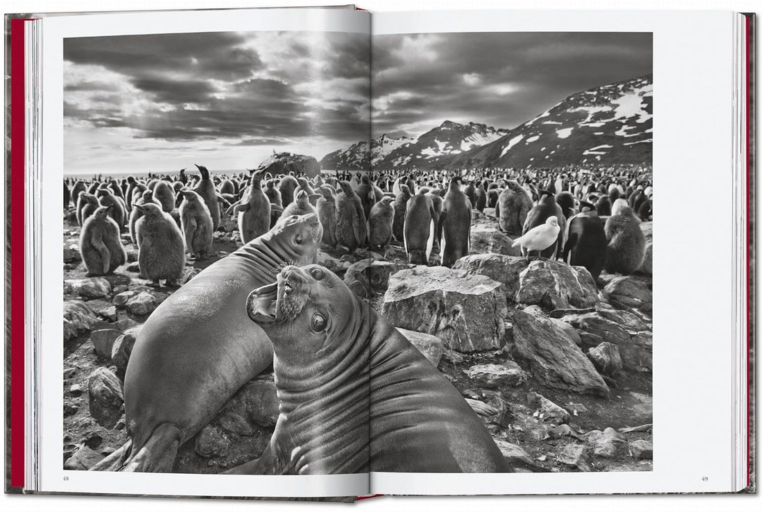 Sebastião Salgado. Genesis. 45th Ed.