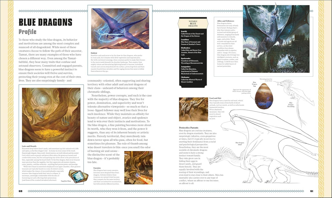 Dungeons & Dragons The Book of Dragons