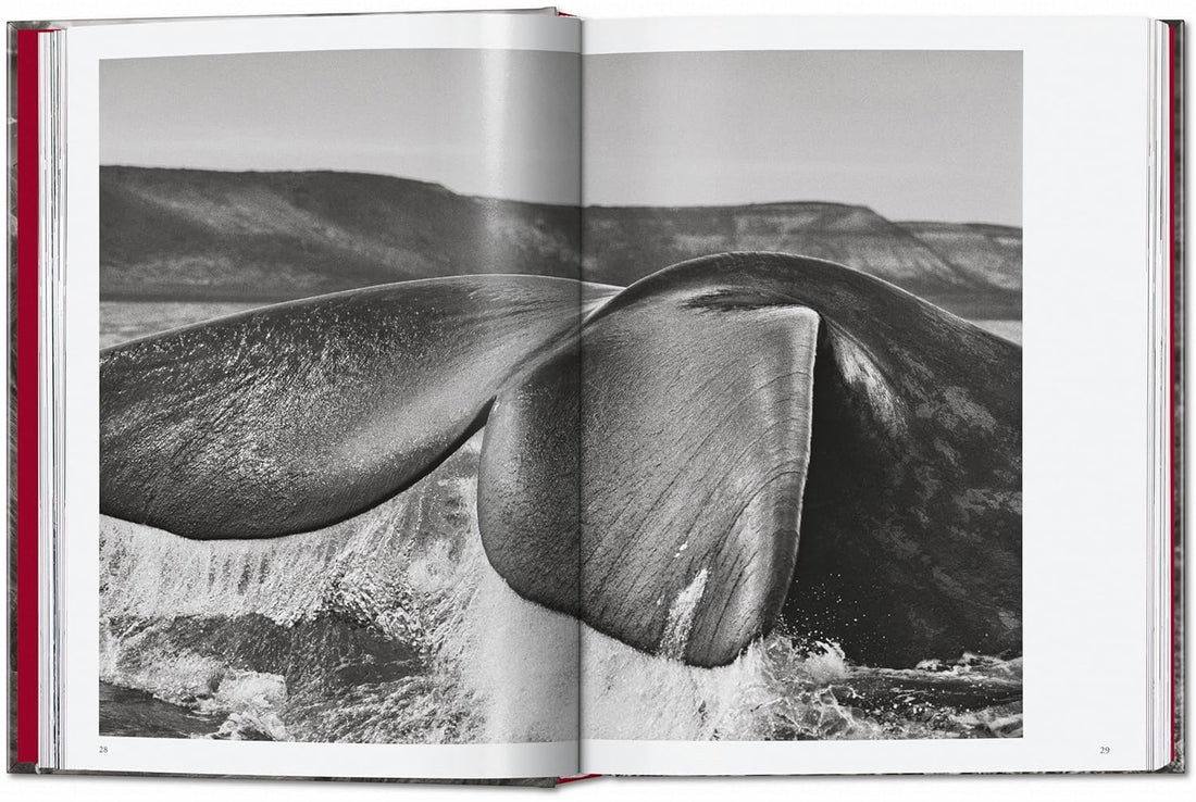 Sebastião Salgado. Genesis. 45th Ed.